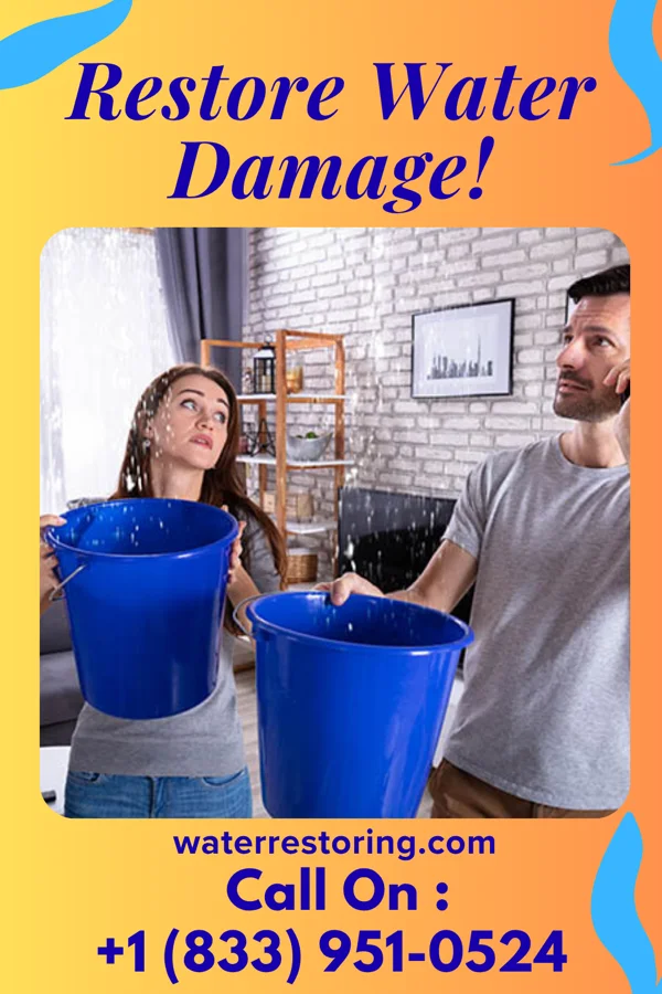 water restoration Pinnacle Flood Damage Authority Key West