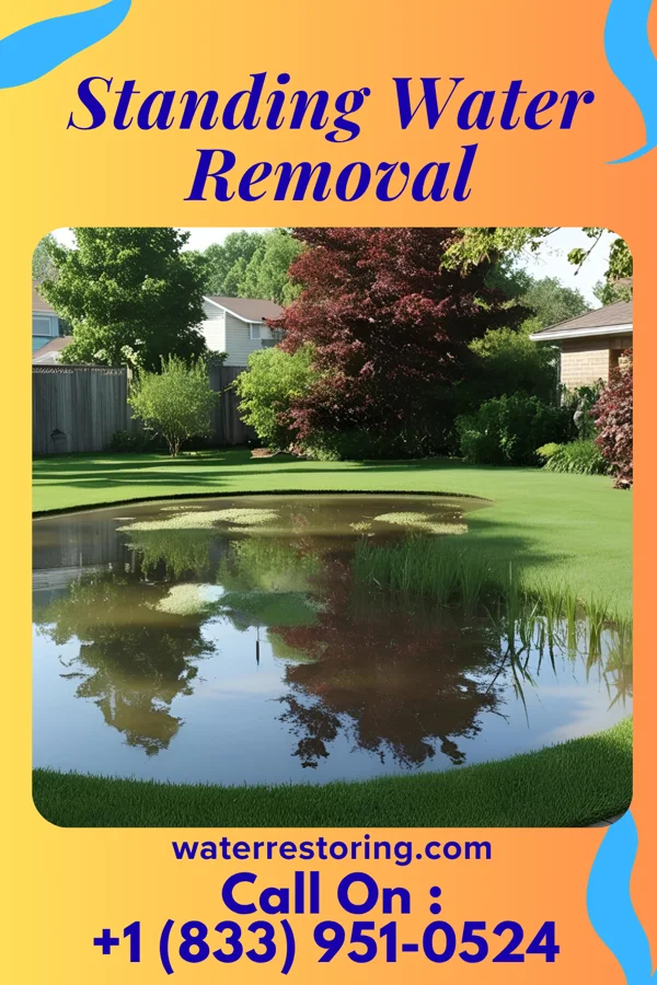 Standing Water Removal in Key West, FL